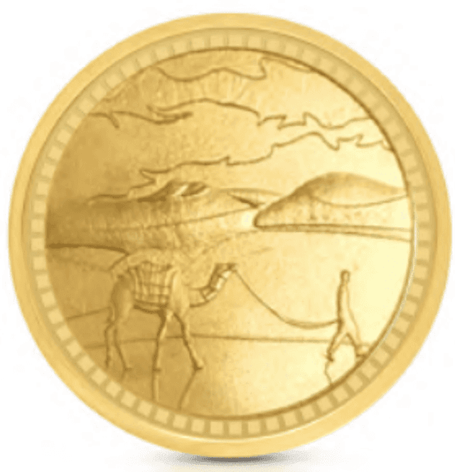 Rafmoah 10g 24K Gold Coin – Random Design